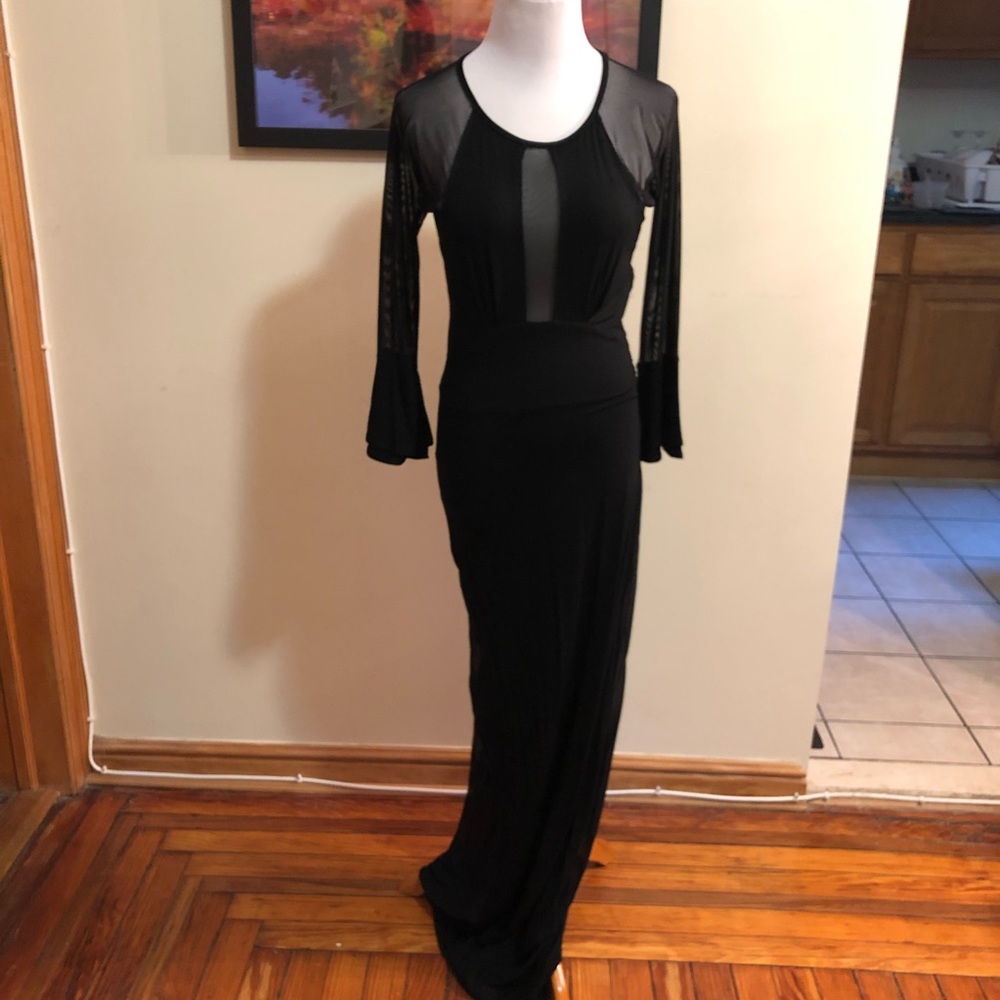 NWT Sexy Sheer Panel Dress